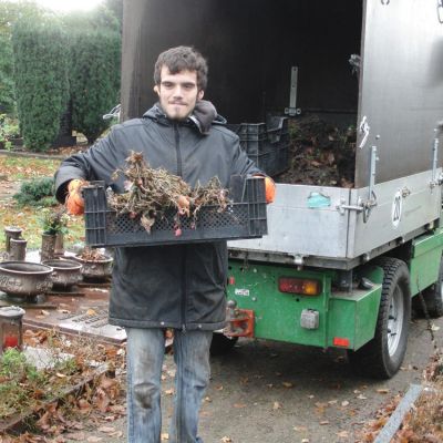 6 Dann kommen die alten Pflanzen zum Kompost in den Wagen..jpg