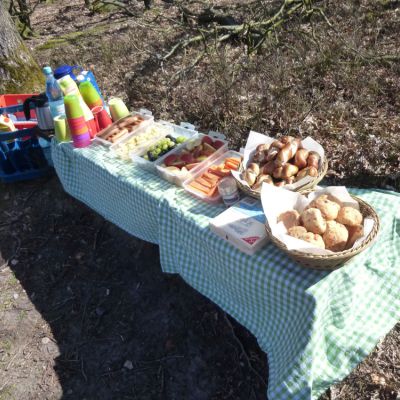 A5 Ein tolles Picknick wartet auf uns. .jpg