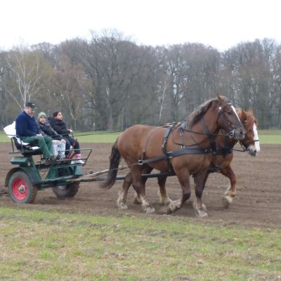 F Wir pflügen das Feld. .jpg