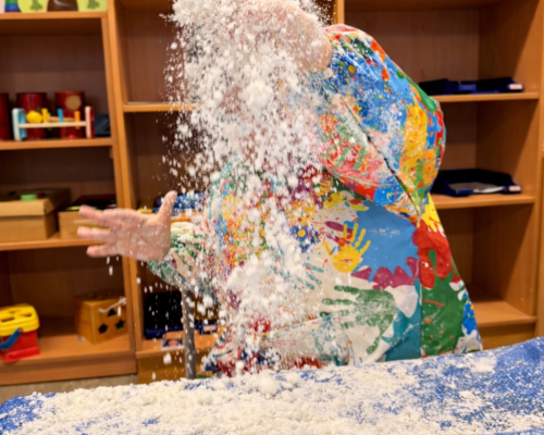 Basales Angebot 2.png