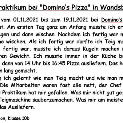 1. Praktikumsbericht Nelson Domino's Pizza.jpg