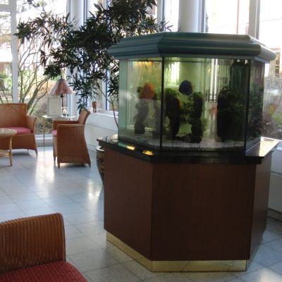 5 Aquarium.jpg