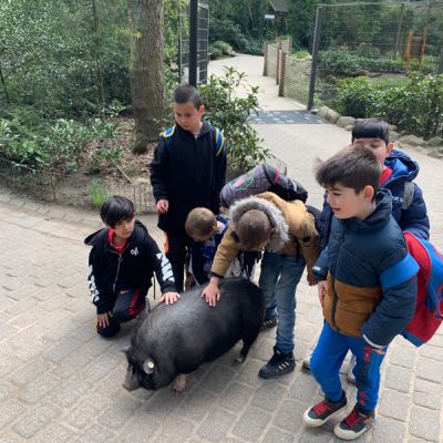 alle SB4.jpg