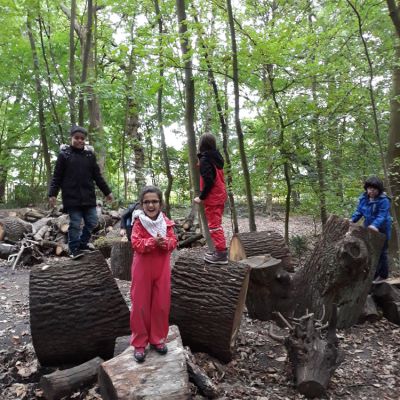 20180827_111959.jpg