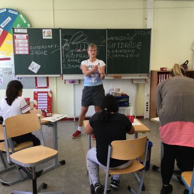 Die Imkerin erklärt die verschiedenen Aufgaben der Bienen.