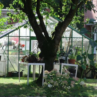 13-Das Gewächshaus..jpg