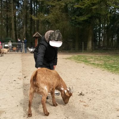 20180412_114447.jpg