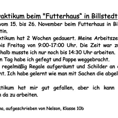 1. Praktikumsbericht Melina Futterhaus Billstedt.jpg