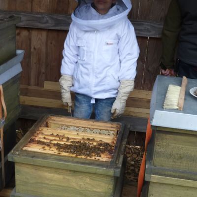 Eine Bienenbeute.