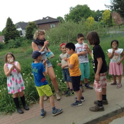 thumb_405d7945-ca9d-4252-8c63-088b9d808e96_1024.jpg