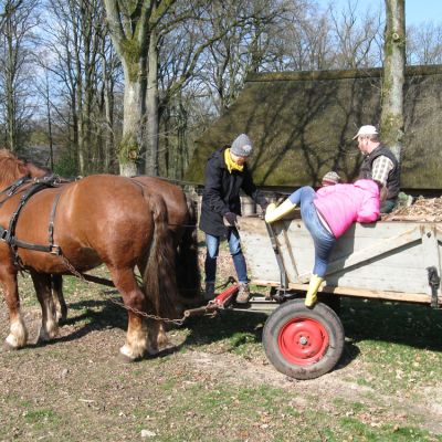 H Wir holen Holzschnitzel. Die Pferde ziehen unseren Anhänger. .jpg