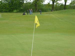 golf3.jpg