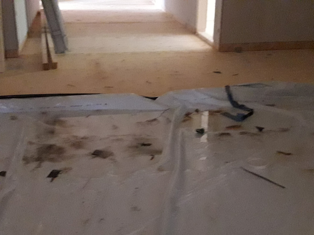 20210517_075531.jpg